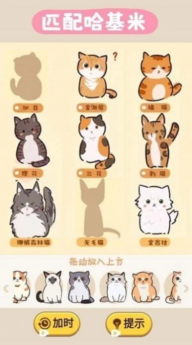 匹配哈基米直装游戏版图3