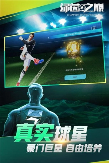 绿茵之巅手机最新版图1