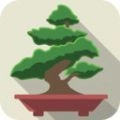 袖珍盆景游戏最新版