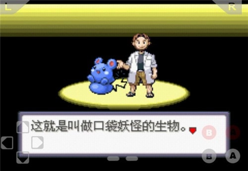 口袋妖怪燃烧红宝石游戏无广告版图5