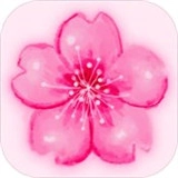 花开时节安卓直装版