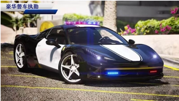 欧洲警车驾驶模拟游戏绿色版图3