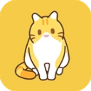领养一只流浪猫2026版