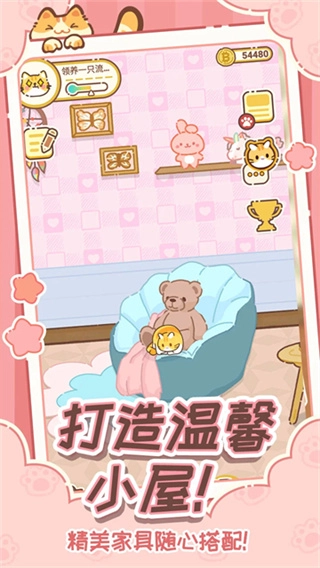 领养一只流浪猫2026版图1