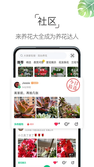 养花大全手机免费版图2