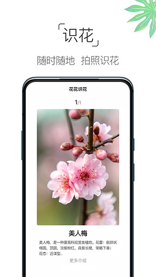 养花大全手机免费版图1
