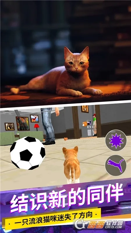 猫咪城市模拟手游直装版图2