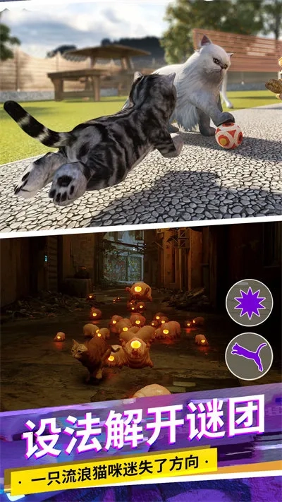 猫咪城市模拟手游直装版图5