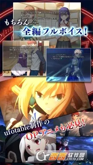 fatestaynight(命运之夜)游戏官方版图3