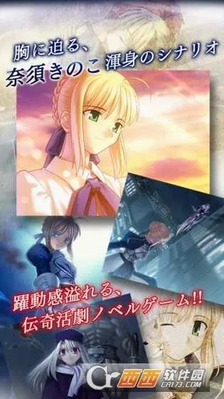 fatestaynight(命运之夜)游戏官方版图4