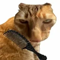 给猫梳毛安卓直装版