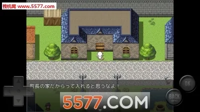 前卫的粪作RPG(粪作冒险)免费原版图2
