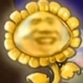 杂交植物战争派对游戏完整版