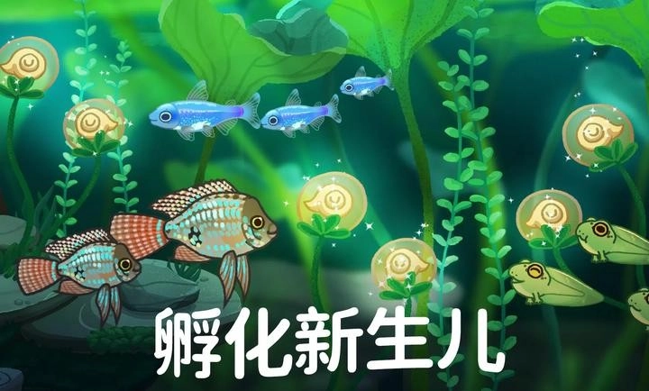 池趣手机免费版图2