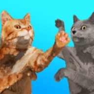 Cat游戏安装包