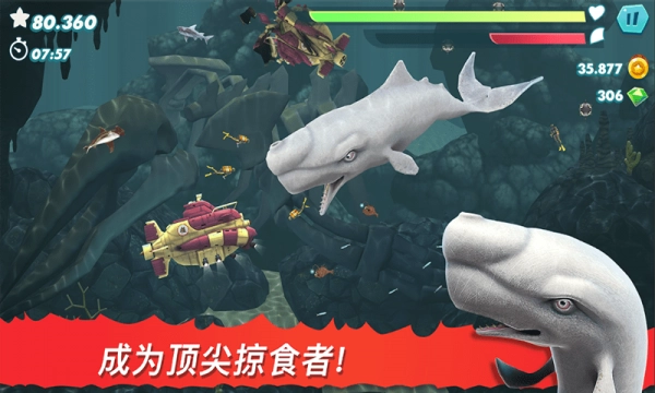 饥饿大白鲨手游直装版图1