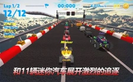 微型车漂移最新免费版图1
