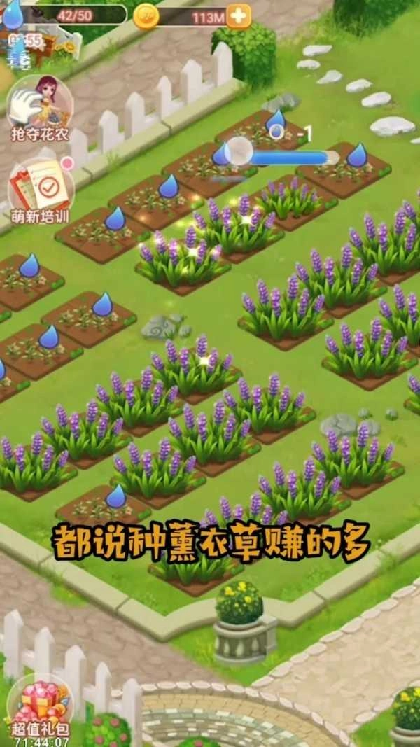 恋与花园游戏官方最新版图3