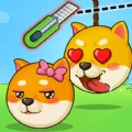 菜狗闯关直装游戏版