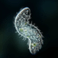 细胞起源游戏纯净最新版