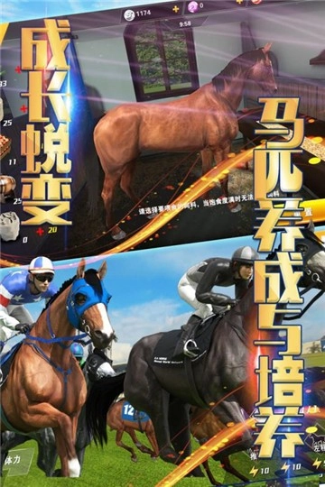 相马大师安卓官方版图3