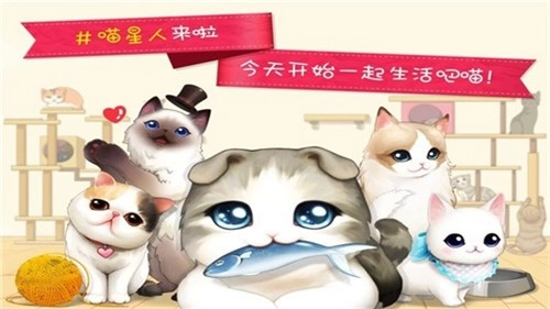 猫猫咖啡屋手游免费版图1