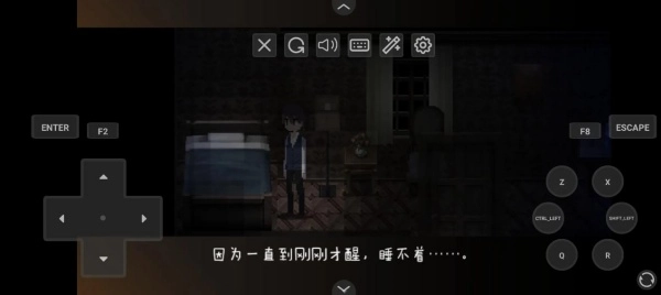 黑暗中的女仆汉化版(2)
