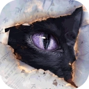 黑猫奇闻社直装版
