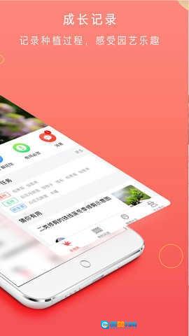 花信一对一聊天手机免费版图1