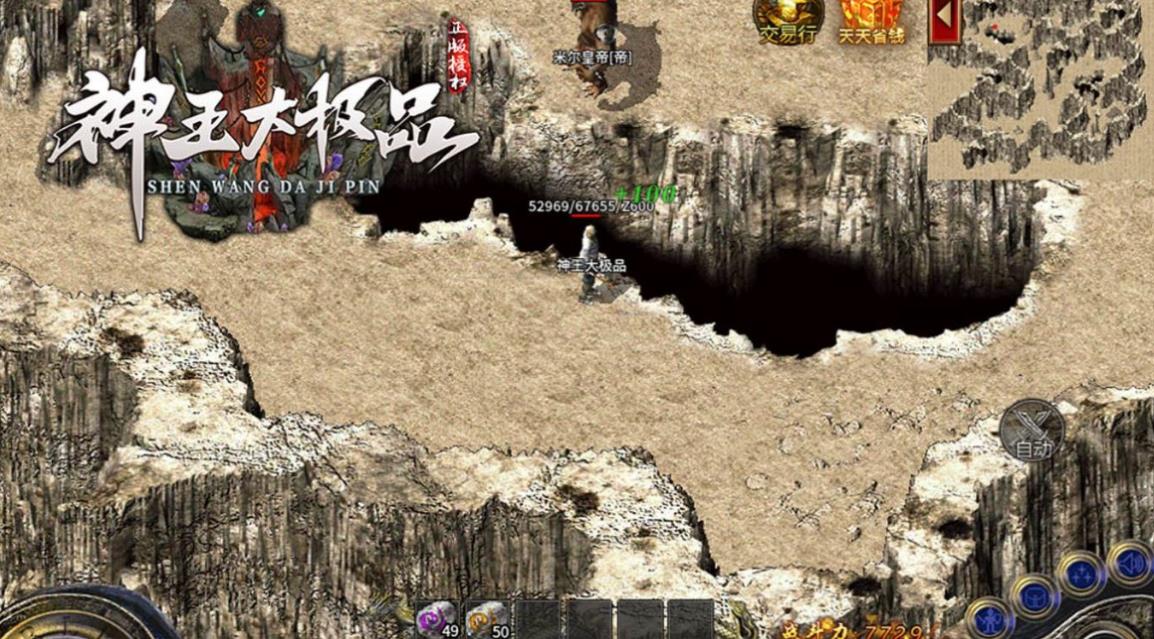 神王大极品(3)