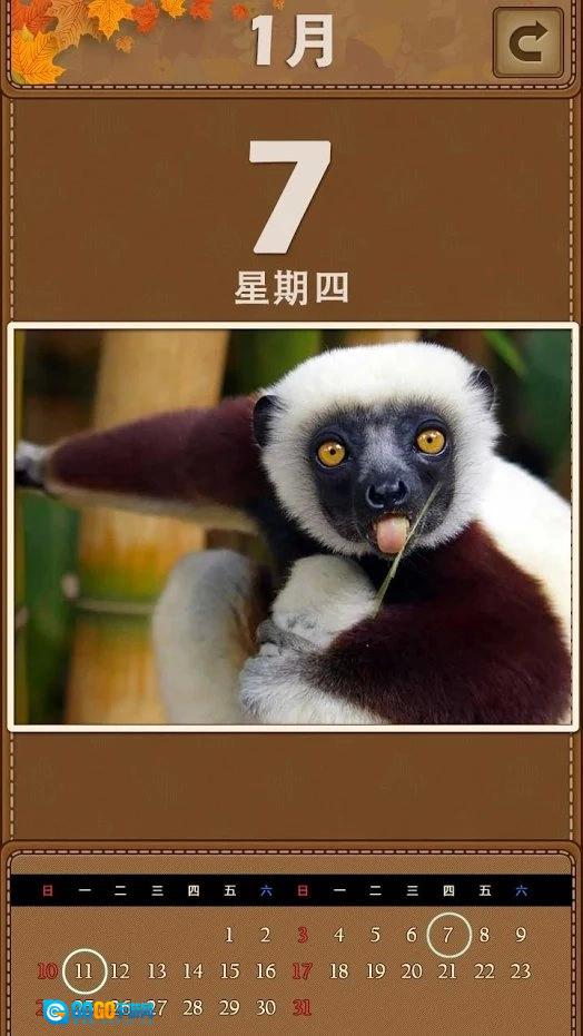 萌宠日历2026(AnimalPuzzle)官方最新版图2
