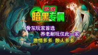 狼魂暗黑专属游戏完整版图3