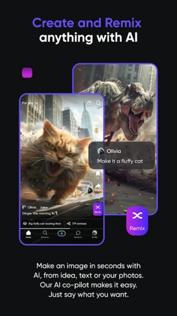 Remix正版图2