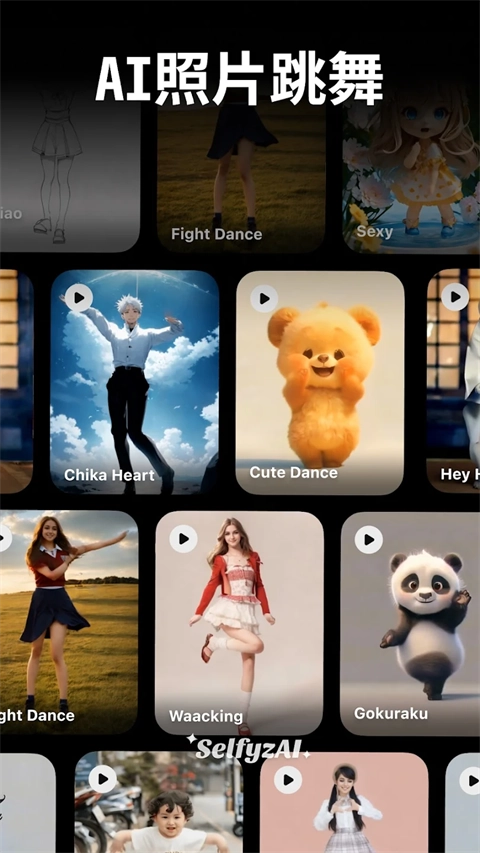 SelfyzAI正版图3