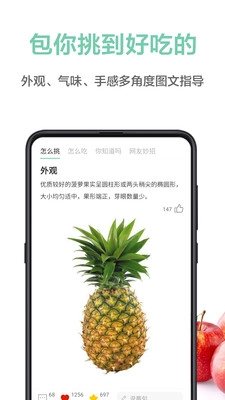 果蔬百科安卓直装版图4