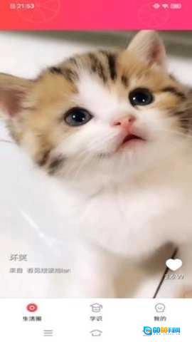 甜柚视频手机最新版图3