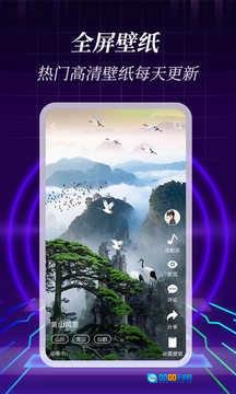 3D壁纸安卓版图3