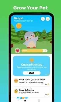 Finch直装版图1