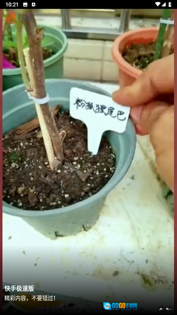 俏佳人影视免费原版图5