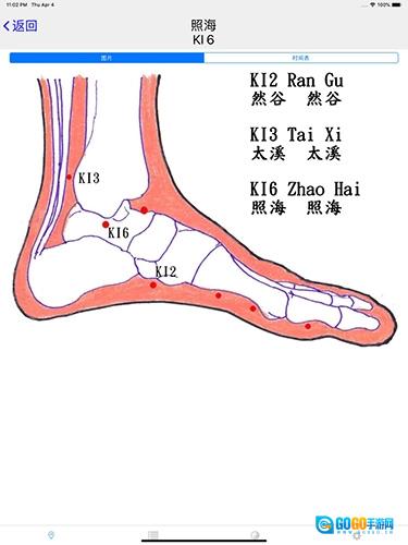 子午灵龟安卓版图1