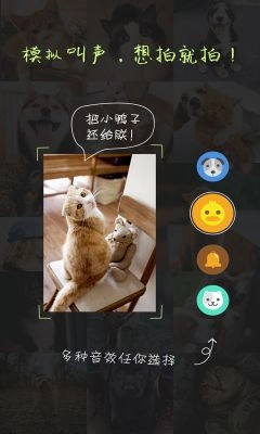 萌宠相机通用版图3
