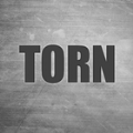 torn撕裂之城最新免费版