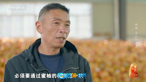 新际TV最新版图1