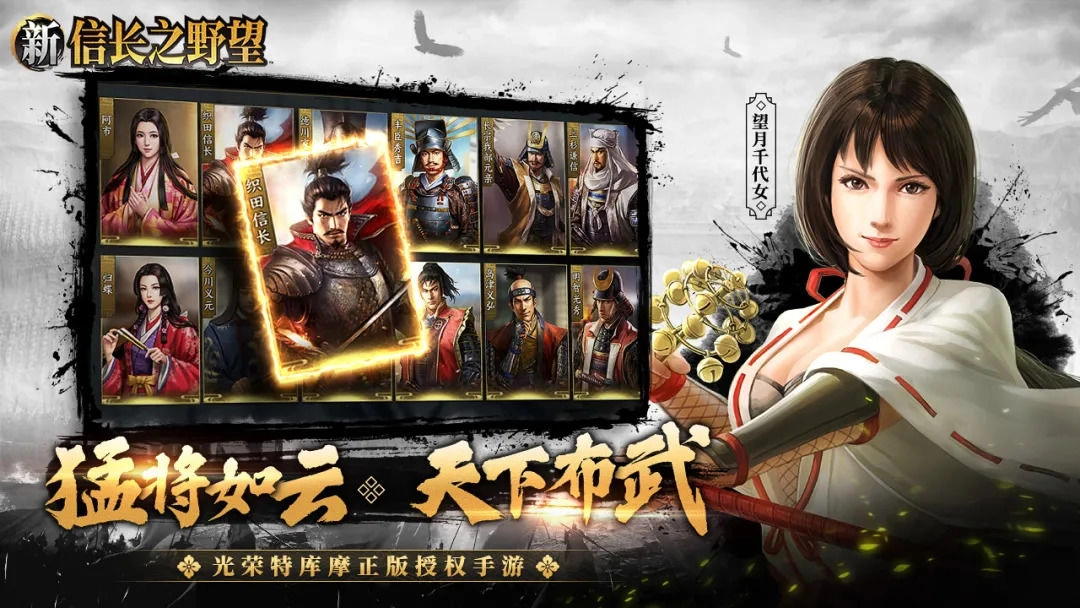 新信长之野望无广告版图4