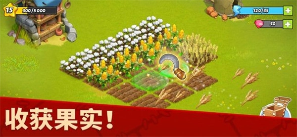 家庭岛2026最新免费版图1