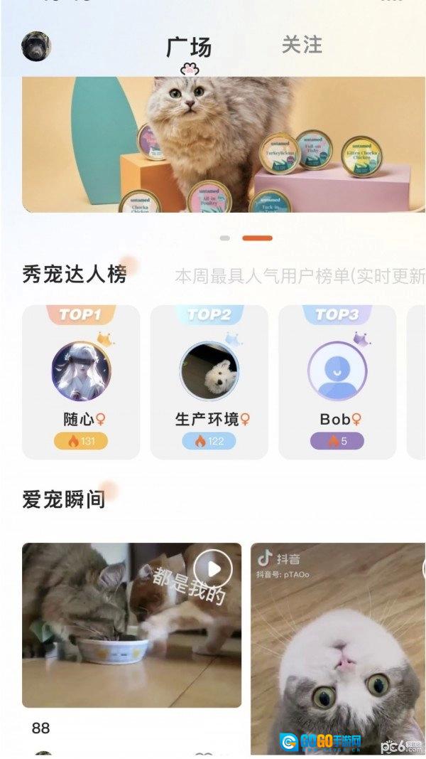 哆伽宠正版图3