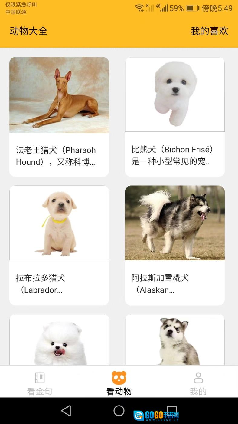 口袋乐看官方最新版图1