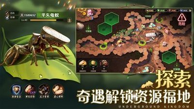 小小蚁国游戏
