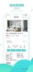 黑猫租房图4
