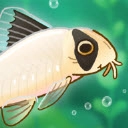 池趣安卓官方版